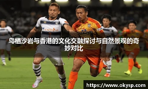 bwin鸟栖沙岩与香港的文化交融探讨与自然景观的奇妙对比